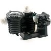 Pompe Piscine - Sta-Rite 5P6R - 1 CV - Mono - Eau Douce De Pentair -Pompe et filtre de piscine Soldes 118955 1