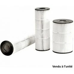 Cartouche Filtrante De Rechange Pour Filtre C0250euro - Cx0250re - Hayward