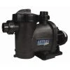 Pompe Astral Glass Plus 0,50 CV / 8 M³/h Tri - Astral Pool -Pompe et filtre de piscine Soldes 18253589 1