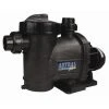 Pompe Astral Glass Plus 1,50 CV / 20 M³/h Tri - Astral Pool