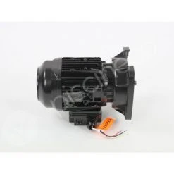 Moteur Pour Pompes La Sta-Rite 0,75 CV Tri - Pentair -Pompe et filtre de piscine Soldes 31487515 3