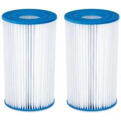 Lot De 2 Cartouches Filtres Type A/C Summer Waves