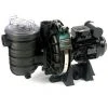 Pompe Piscine - Sta-Rite 5-P2R - 0.5 CV - Mono De Pentair 1 Pompe Piscine - Sta-Rite 5-P2R - 0.5 CV - Mono De Pentair -Pompe et filtre de piscine Soldes 3752637 1