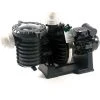 Pompe Piscine - Sta-Rite 5P6R - 1 CV - Tri - Eau Douce De Pentair -Pompe et filtre de piscine Soldes 3752648 1