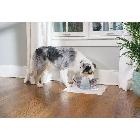 PERLE RARE Filtre En Mousse De Rechange (Pack De 2) - Fontaines En Céramique, Plastique Et Fontaines Drinkwell 360 En Acier 7 PERLE RARE Filtre En Mousse De Rechange (Pack De 2) - Fontaines En Céramique, Plastique Et Fontaines Drinkwell 360 En Acier – Image 5