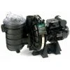 Pompe De Filtration Piscine Pentair Sta-rite 0.75 Cv Mono 5p2rd-1 -Pompe et filtre de piscine Soldes 7533389 1