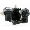 STA-RITE Pompe Starite 0,75 Cv Mono - S5p6r 1 STA-RITE Pompe Starite 0,75 Cv Mono - S5p6r -Pompe et filtre de piscine Soldes 9896882 1