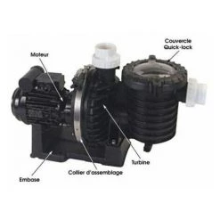 STA-RITE Pompe Starite 0,75 Cv Mono - S5p6r -Pompe et filtre de piscine Soldes 9896882 2