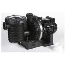 STA-RITE Pompe Starite 0,75 Cv Mono - S5p6r -Pompe et filtre de piscine Soldes 9896882 4